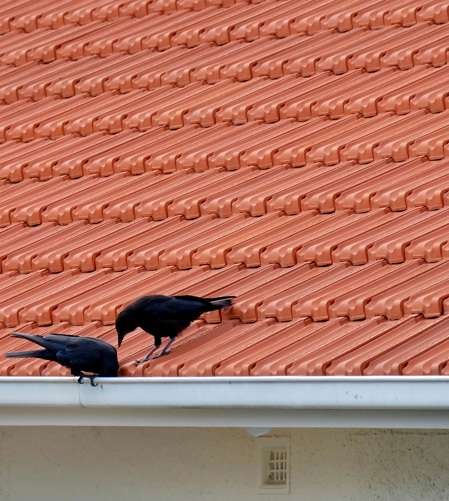 How to Insulate a Flat Roof in Various Ways